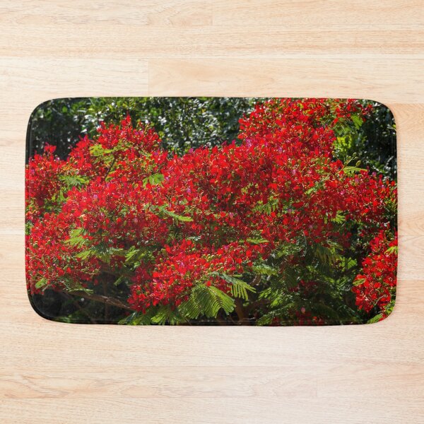 Item preview, Red flowers on a delonix regia tree designed and sold by iCimages.net.