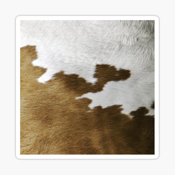 Tan Cowhide Stickers Redbubble