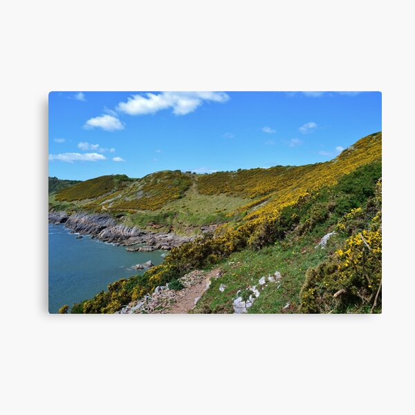 Item preview, Gorse Bushes on the All Wales Coast Path designed and sold by Photos of Wales.