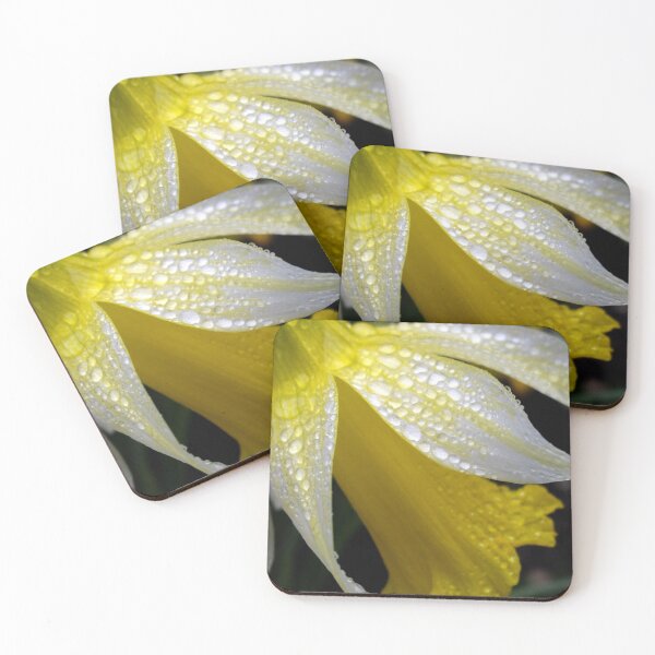 Item preview, Delicate Daffodil designed and sold by Sally J Hunter.