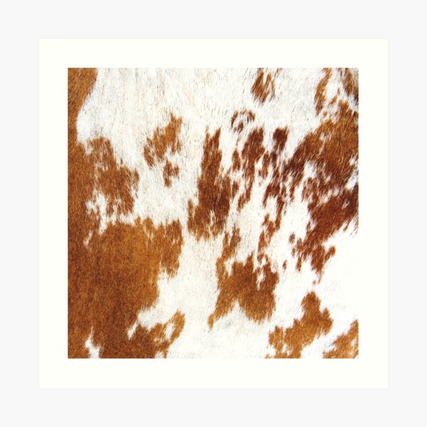 Cowhide Wall Art Redbubble