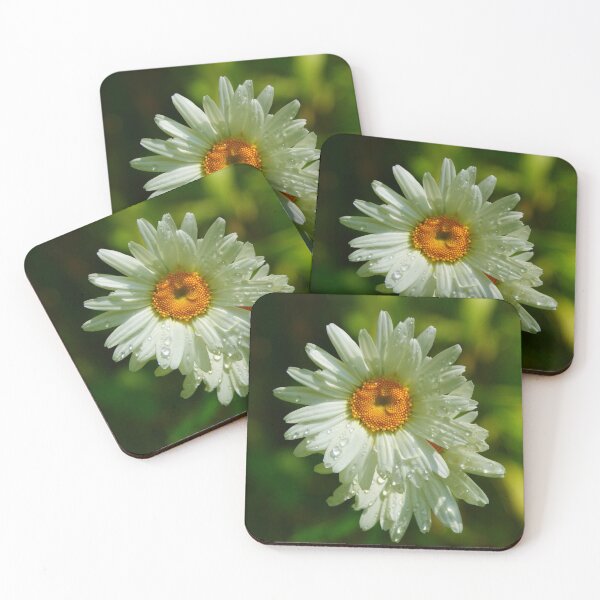 Item preview, Daisy Droplets designed and sold by Sally J Hunter.