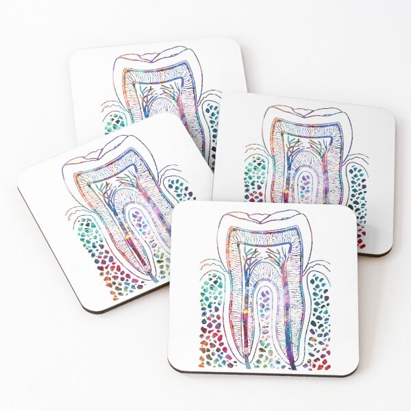 Item preview, Human Tooth Structure designed and sold by EvasDreams.