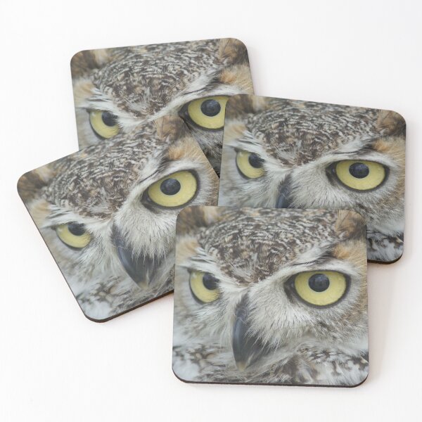 Item preview, Wise Owl designed and sold by Sally J Hunter.