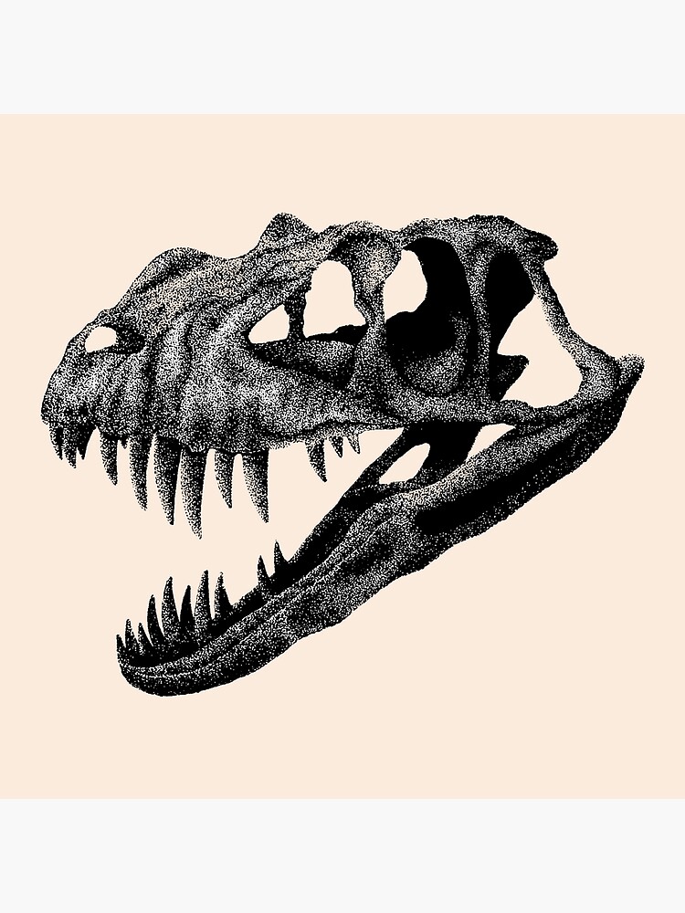 t rex bones drawing - Google Search  Dinosaur drawing, Skull drawing,  Skeleton drawings