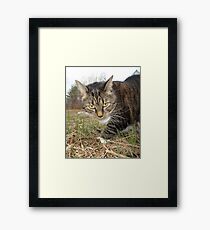 Lucy Lawns Framed Print