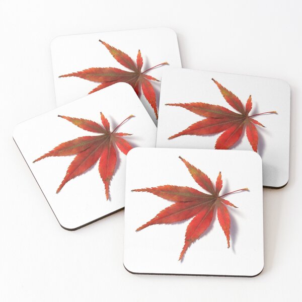 Item preview, Red leaf from Japanese Acer Maple Tree designed and sold by ElvaE.
