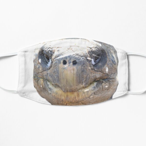 Tortoise. Flat Mask