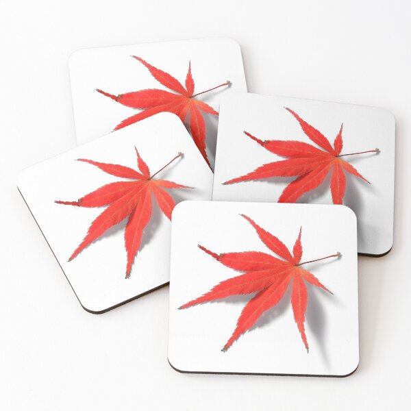 Item preview, Red leaf from Japanese Acer Maple Tree designed and sold by ElvaE.