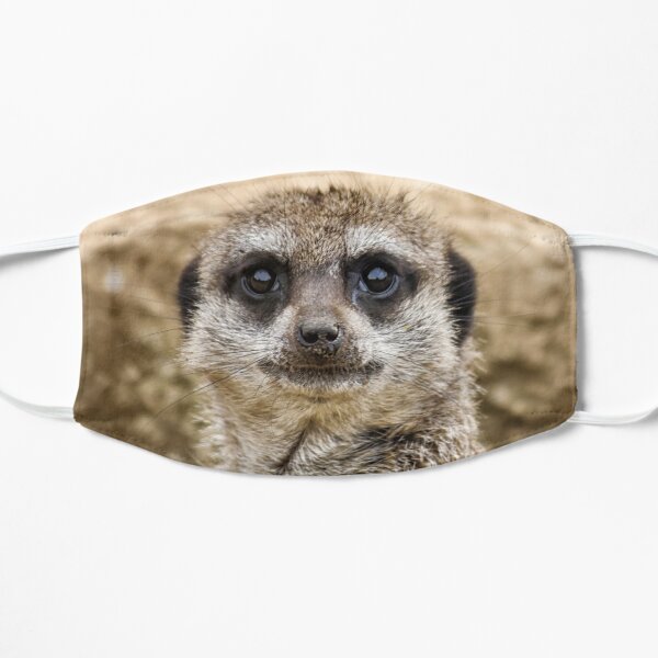 Meerkat Mask