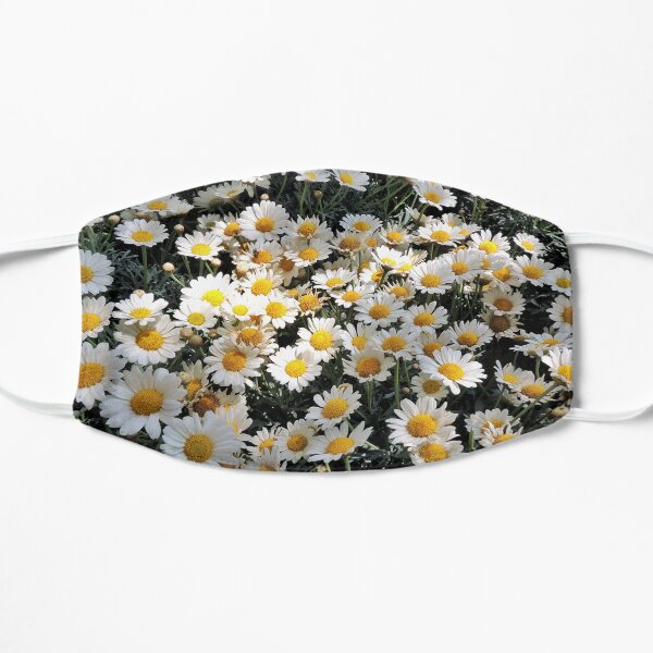 Daisies, daisy pattern, floral, botanical Mask