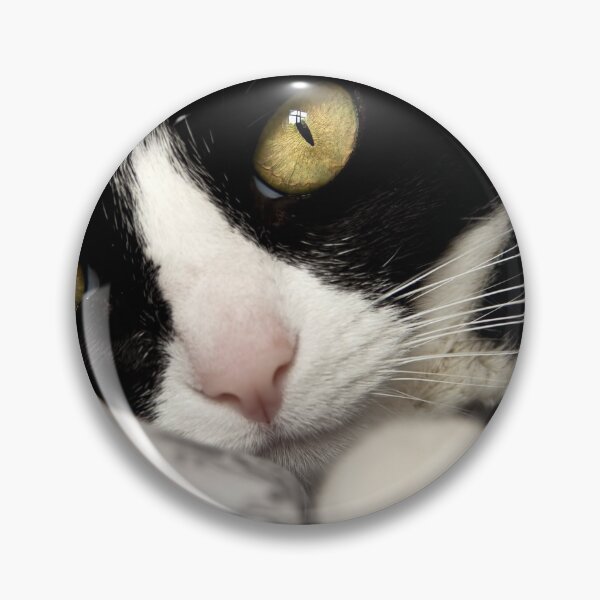 Item preview, Cat Portrait, Beautiful Cat, Cats Eyes, Whiskers, Kitty Love designed and sold by Ingrid Beddoes Photography.