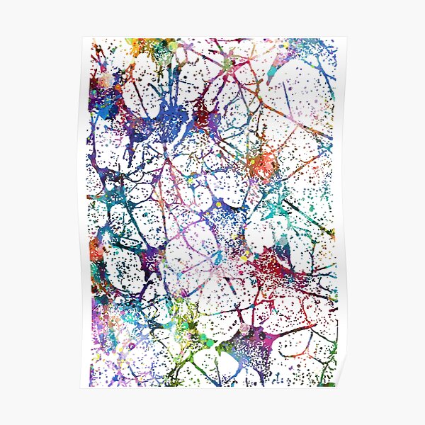 Neural Network Poster