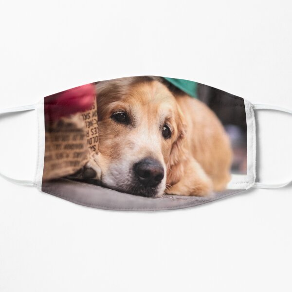 Dog's sorrow Mask