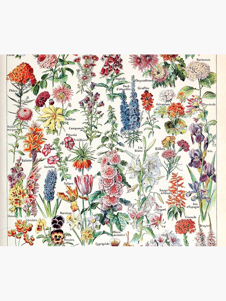 Adolphe Millot - Fleurs pour tous - French vintage poster by DejaVuStudio