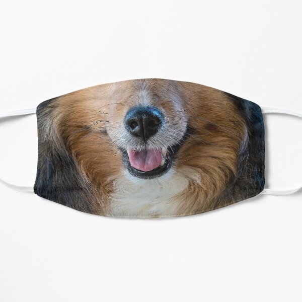Sheltie Snout Mask