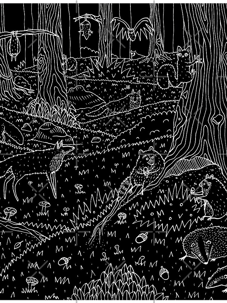Nocturnal Animals of the Forest by SophieCorrigan