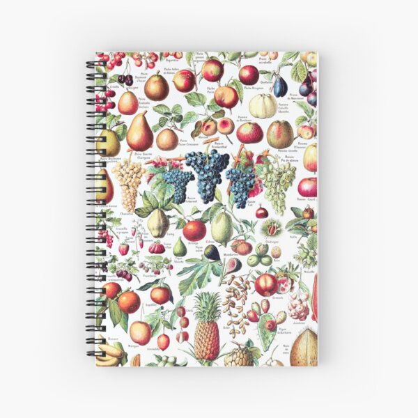 Item preview, Adolphe Millot - Fruits pour tous - French vintage poster designed and sold by DejaVuStudio.