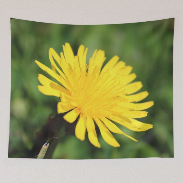 Item preview, Just Dandy designed and sold by Jen-Perry.