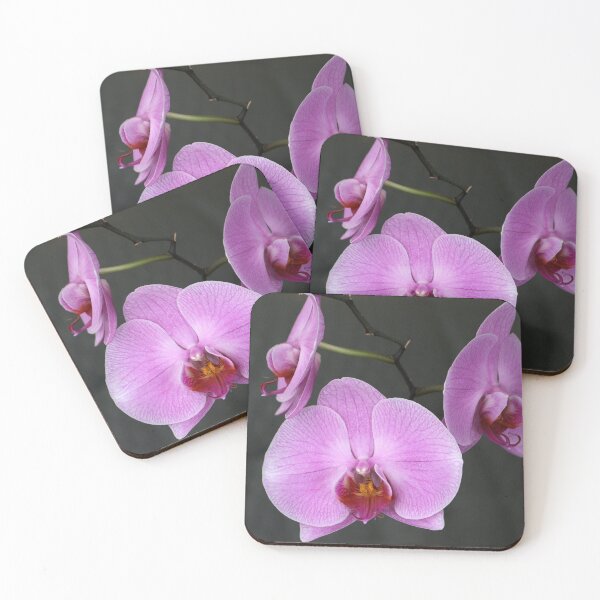 Item preview, Pink Moth Orchid designed and sold by pinkal.