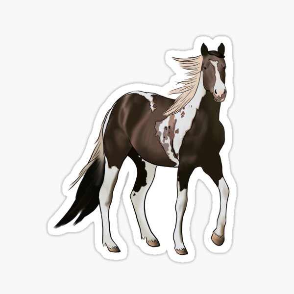 Pinto Pferde Geschenke Merchandise Redbubble