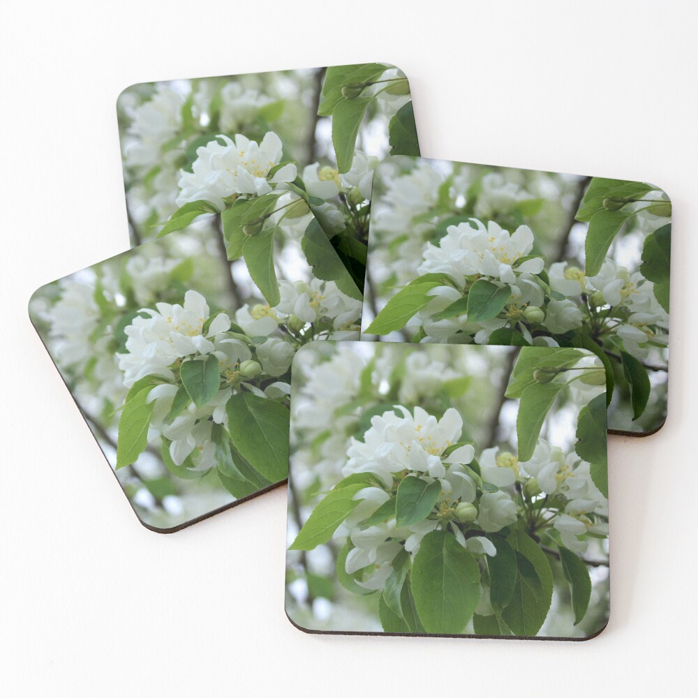 Item preview, Coasters (Set of 4) designed and sold by Jen-Perry.