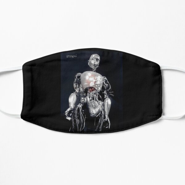 The iron robot Mask
