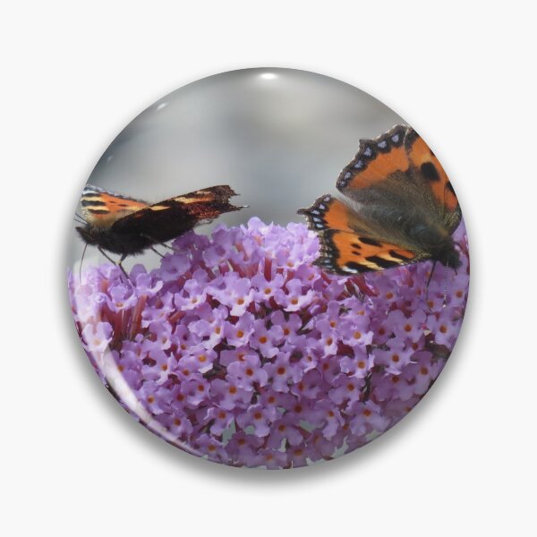 Item preview, Sweet scented purple designed and sold by BsPhotographs.