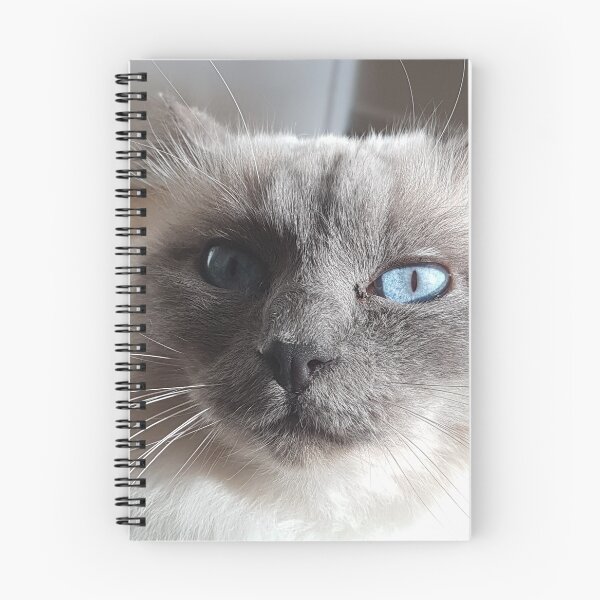 Item preview, Birman Cat Mask designed and sold by Harlequitmix.
