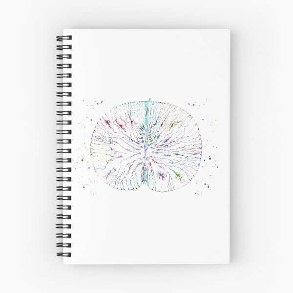 Item preview, Brain Drawing of  Santiago Ramón y Cajal designed and sold by EvasDreams.