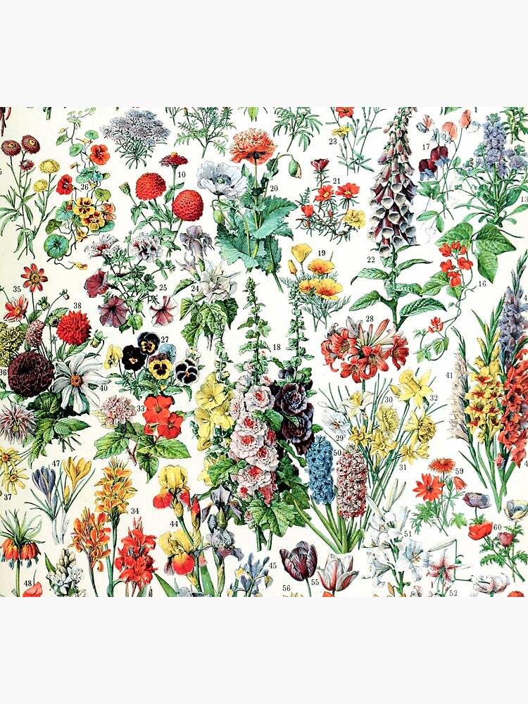 Adolphe Millot - Fleurs A - French vintage poster by DejaVuStudio