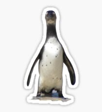 Penguin Sticker