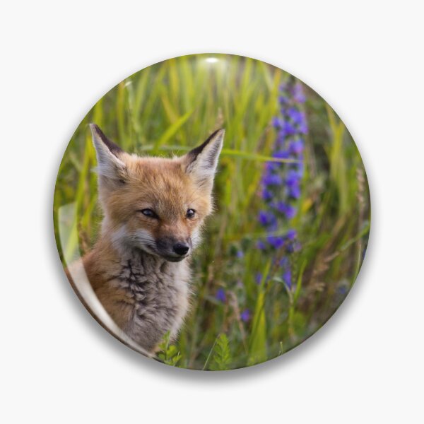 Item preview, Red Fox Kit designed and sold by Michel (Mike) Soucy.