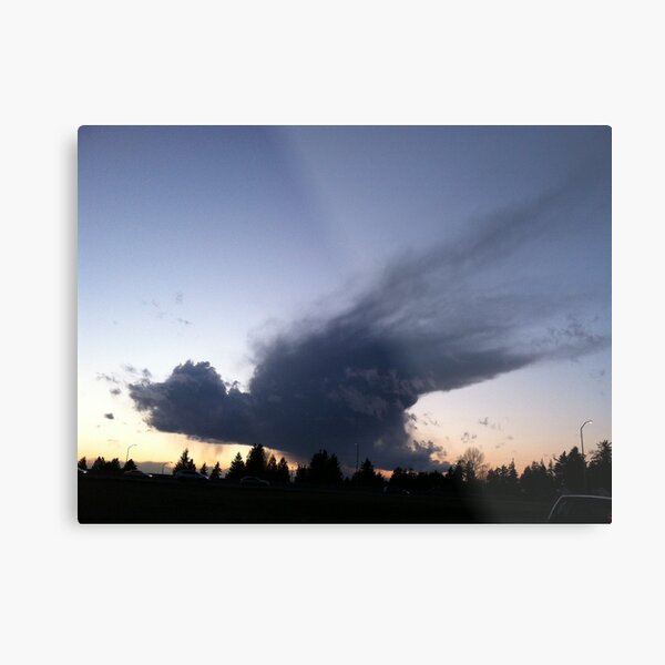 Coming in for a landing Metal Print