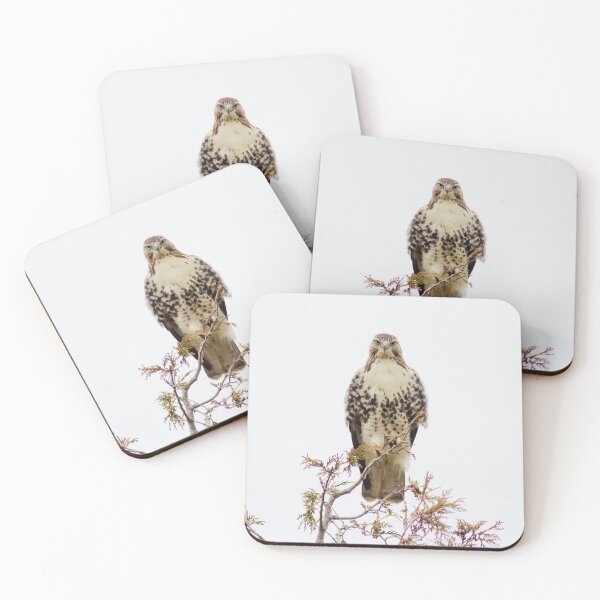 Item preview, Redtail Hawk designed and sold by Michel (Mike) Soucy.