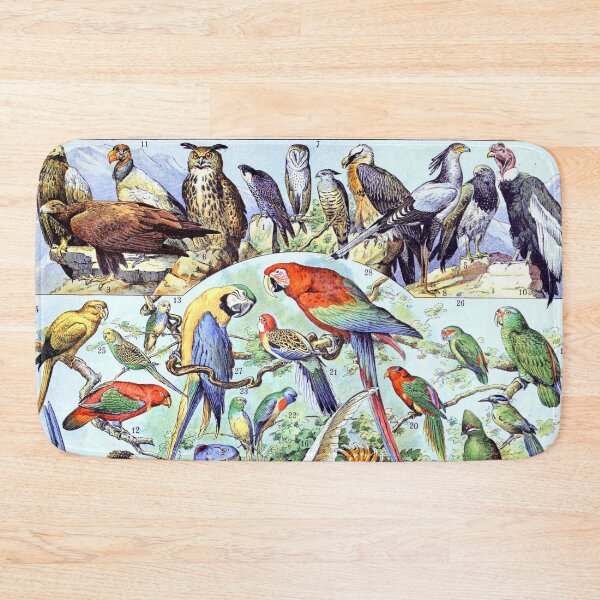 Item preview, Adolphe Millot - Oiseaux A - French vintage poster designed and sold by DejaVuStudio.
