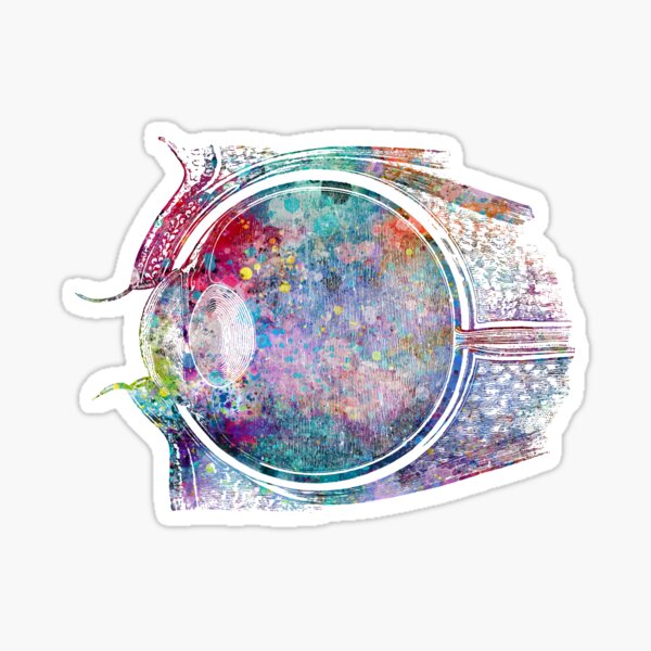 Sideview of Human Eye Sticker