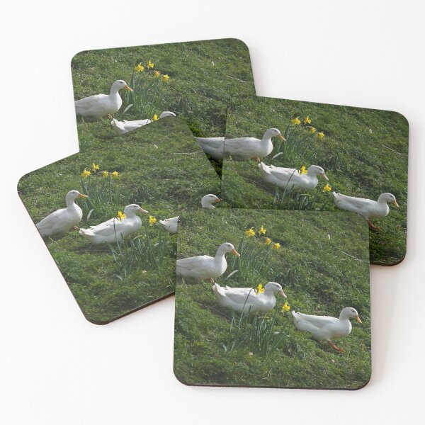 Item preview, White ducks running downhill designed and sold by LindaCooke.