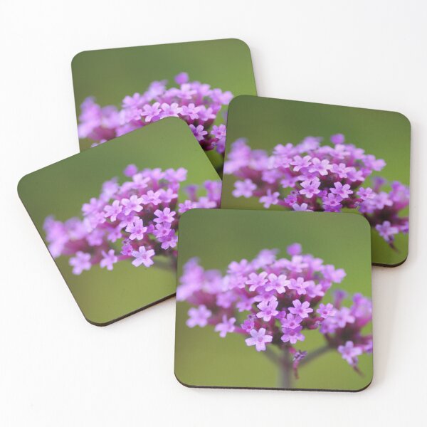 Item preview, Verbena Bonariensis flowerhead designed and sold by LindaCooke.