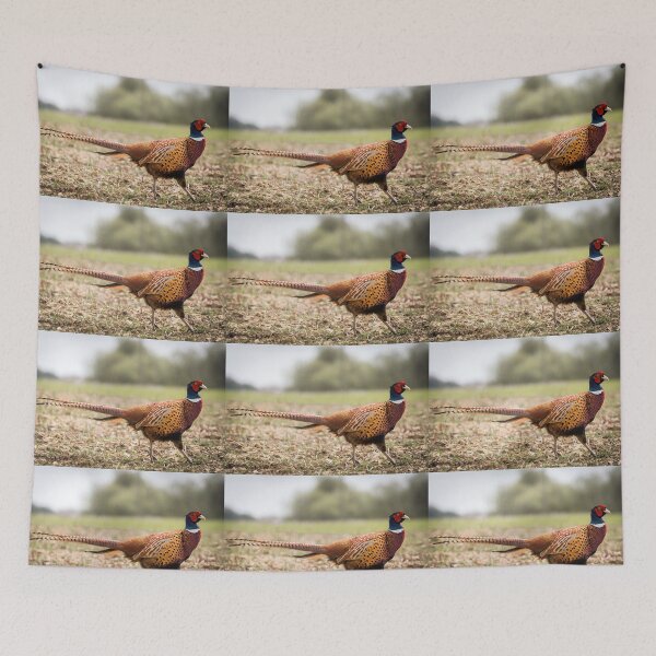 Item preview,   pheasant designed and sold by JEZ22.
