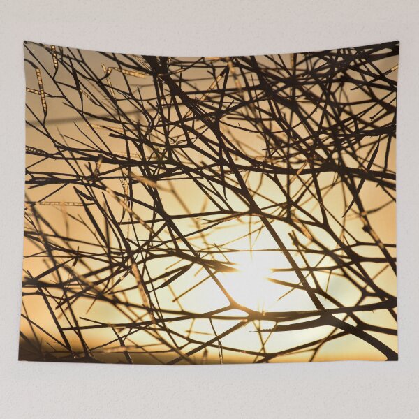 Item preview, Tumbleweed sunrise designed and sold by Rainbow Farm Photography.