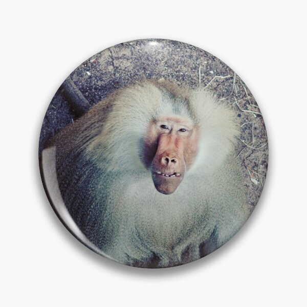 Item preview, Male Hamadryas Baboon designed and sold by ElvaE.