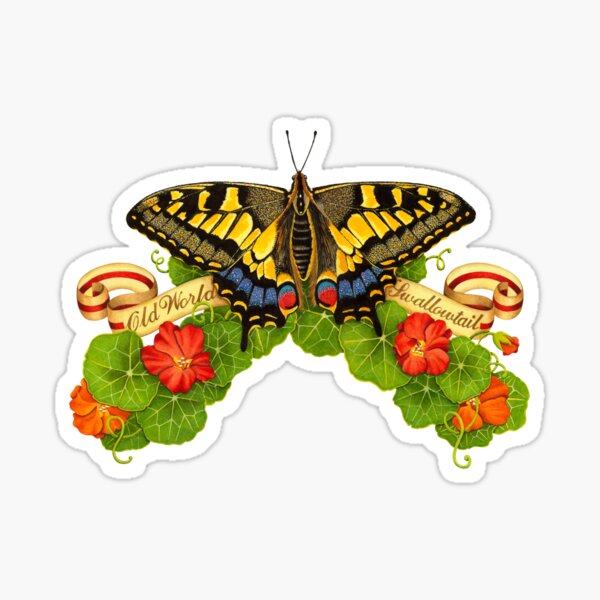 Artikel-Vorschau von Schwalbenschwanzschmetterling der alten Welt und Kapuzinerkressen, designt und verkauft von PatriciaSheaDesigns.