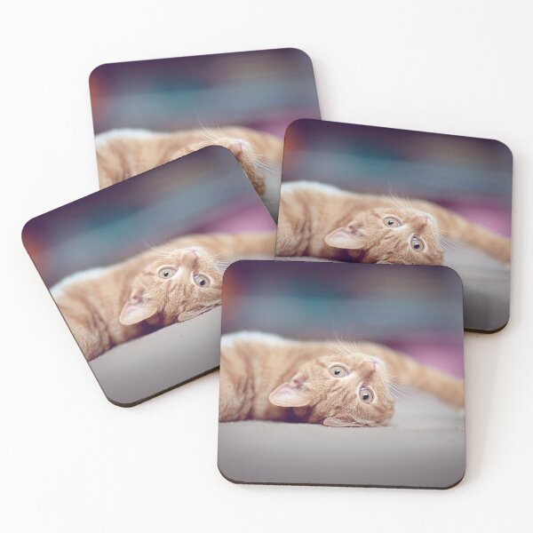 Item preview, Young Ginger Cat designed and sold by ElvaE.
