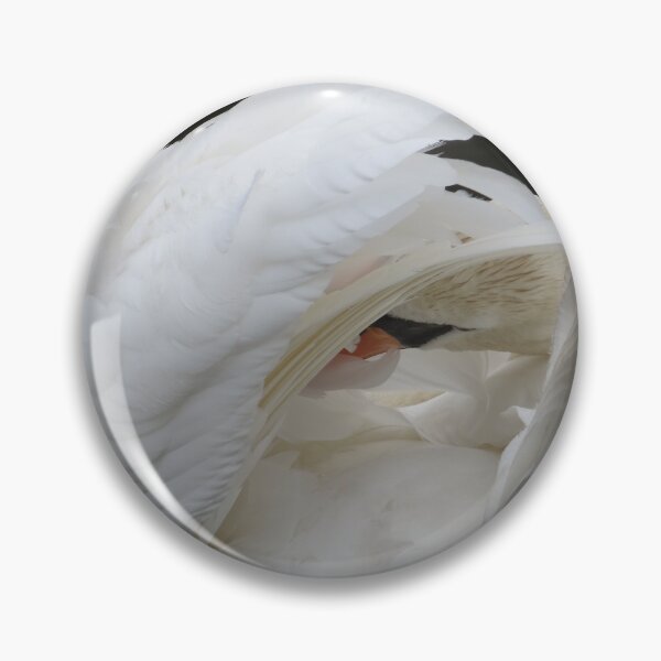Item preview, Swan Perfection designed and sold by BsPhotographs.