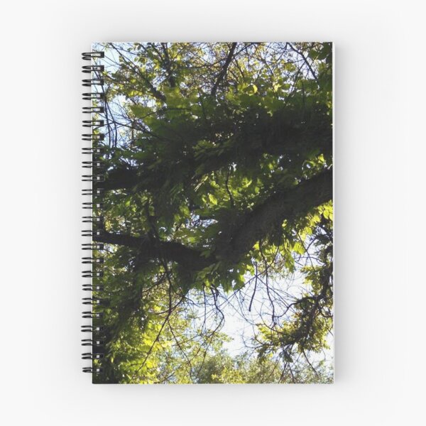 Item preview, Ash Tree designed and sold by brusling.