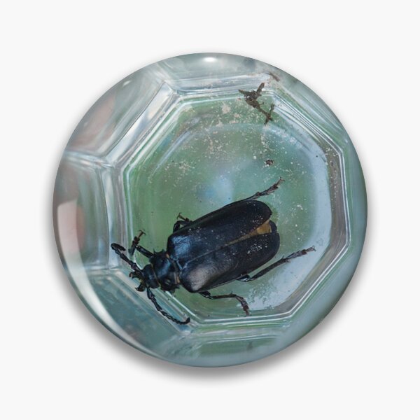 Item preview, Child holding large bug in glass designed and sold by ElvaE.