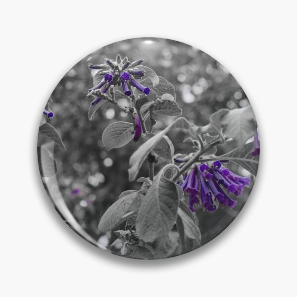 Item preview.