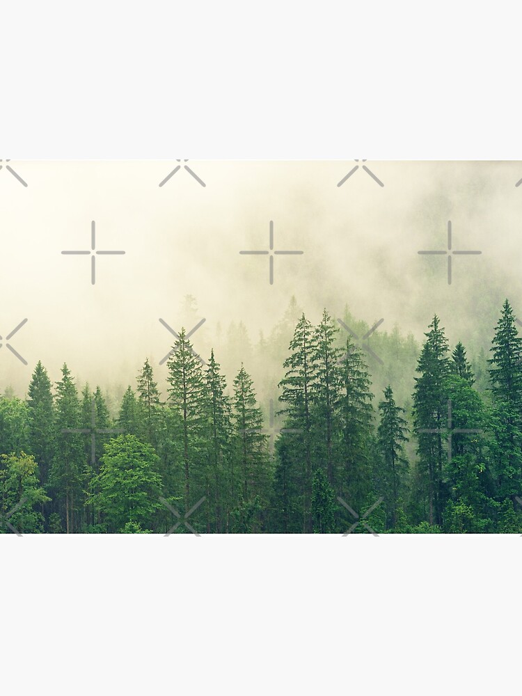 Scandi Misty Forest Forest Wall Large Forest Print Pine Trees Forest Mist Forest Wall Art Printable Wilderness Landscape Prints Art Board Print By Alex Artprints Redbubble