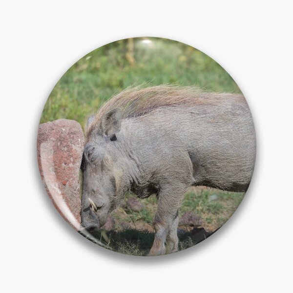 Item preview, Female Warthog (Phacochoerus africanus) designed and sold by Yair Karelic.